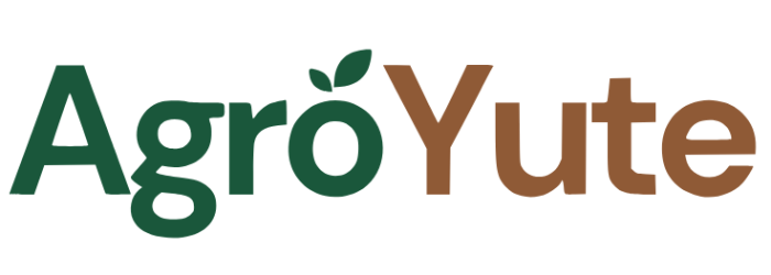 logo solo